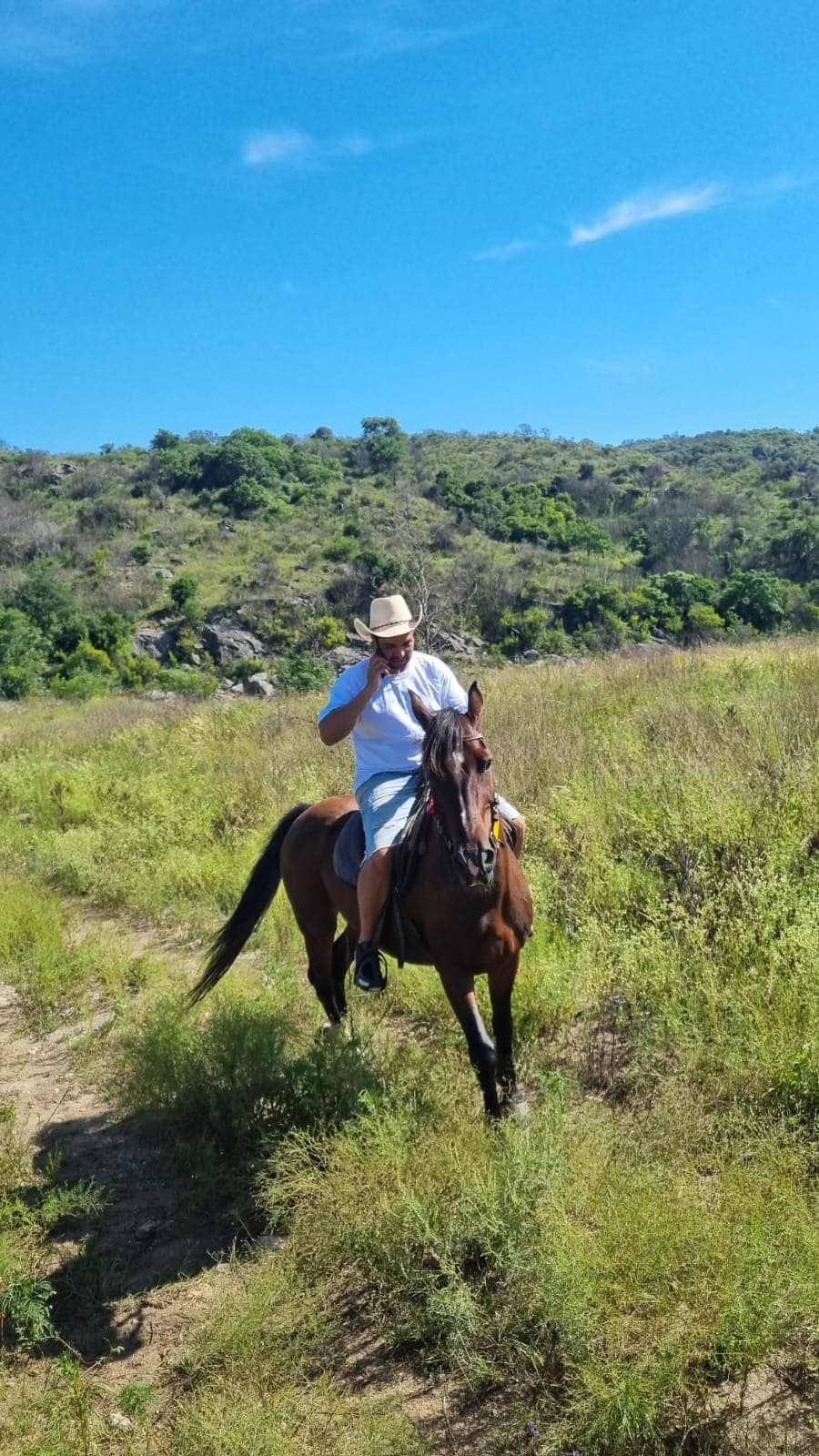 Jinete en campo verde