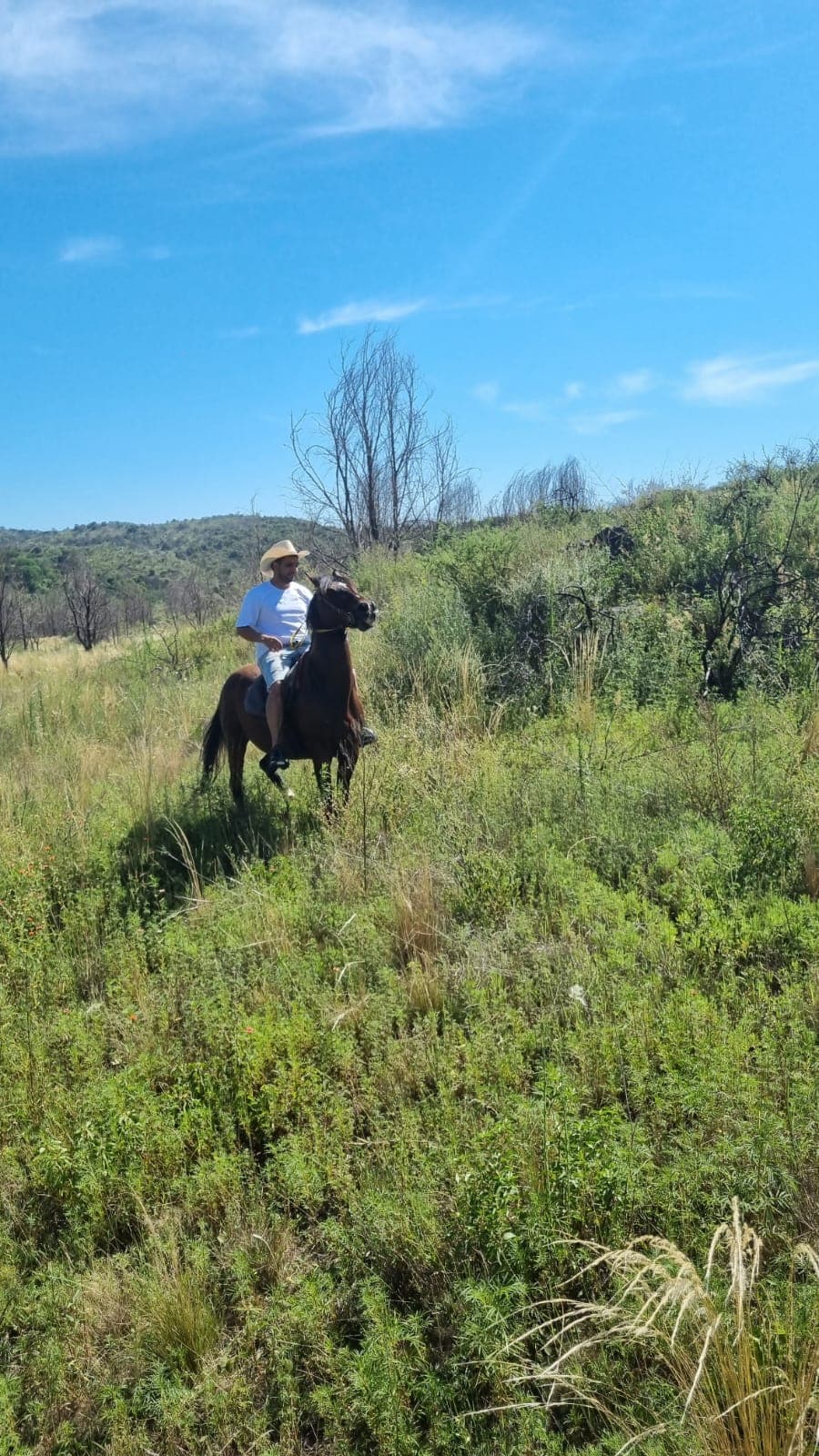 Guía local a caballo